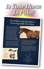 Is Your Horse In Pain?